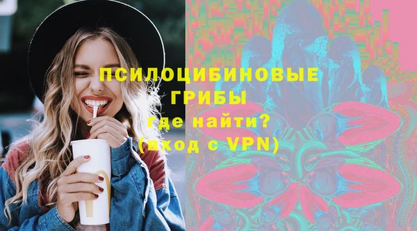 бошки Осинники